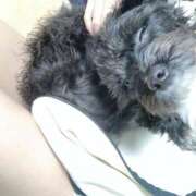 ヒメ日記 2025/03/03 22:29 投稿 フウカ On a best（オンナベスト）