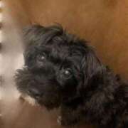 ヒメ日記 2025/03/04 22:19 投稿 フウカ On a best（オンナベスト）