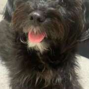 ヒメ日記 2025/03/20 22:29 投稿 フウカ On a best（オンナベスト）