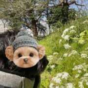 ヒメ日記 2025/04/02 23:59 投稿 フウカ On a best（オンナベスト）