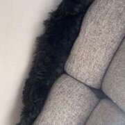 ヒメ日記 2025/04/20 22:54 投稿 フウカ On a best（オンナベスト）