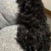 ヒメ日記 2025/04/25 22:49 投稿 フウカ On a best（オンナベスト）