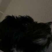 ヒメ日記 2025/05/04 22:39 投稿 フウカ On a best（オンナベスト）