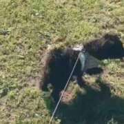 ヒメ日記 2025/05/27 22:01 投稿 フウカ On a best（オンナベスト）