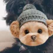 ヒメ日記 2025/05/30 22:21 投稿 フウカ On a best（オンナベスト）