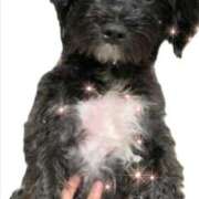 フウカ 遅い時間💨 On a best（オンナベスト）