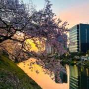 ヒメ日記 2025/04/14 02:09 投稿 メイ On a best（オンナベスト）