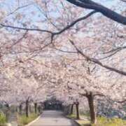 ヒメ日記 2026/04/04 20:08 投稿 メイ On a best（オンナベスト）