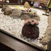 ヒメ日記 2025/08/02 07:40 投稿 東雲百合愛 五十路マダムエクスプレス船橋店(カサブランカグループ)