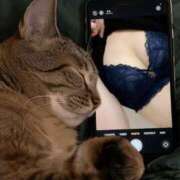 ヒメ日記 2025/10/23 07:30 投稿 東雲百合愛 五十路マダムエクスプレス船橋店(カサブランカグループ)