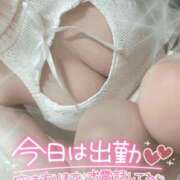 ヒメ日記 2025/01/23 13:09 投稿 コマチ リッチドールなんば店