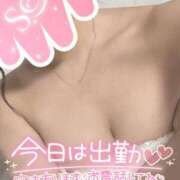 ヒメ日記 2025/02/08 10:31 投稿 コマチ リッチドールなんば店