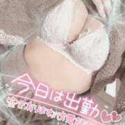 ヒメ日記 2025/03/16 12:35 投稿 コマチ リッチドールなんば店