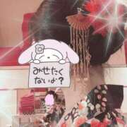 ヒメ日記 2025/04/17 18:29 投稿 コマチ リッチドールなんば店