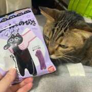 ヒメ日記 2025/02/12 19:08 投稿 酒井歩(あゆみ) 東京不倫～とうきょうふりん～