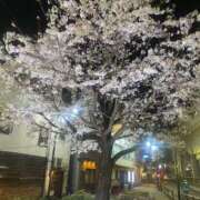 ヒメ日記 2025/03/30 20:28 投稿 酒井歩(あゆみ) 東京不倫～とうきょうふりん～