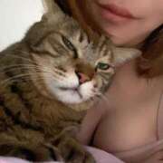 ヒメ日記 2025/04/22 18:58 投稿 酒井歩(あゆみ) 東京不倫～とうきょうふりん～