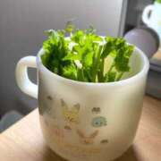 ヒメ日記 2025/05/14 10:38 投稿 酒井歩(あゆみ) 東京不倫～とうきょうふりん～