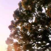 ヒメ日記 2025/05/28 20:35 投稿 真白こゆき（ましろこゆき） 桃色奥様(佐賀)