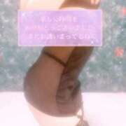 ヒメ日記 2025/09/27 08:15 投稿 真白こゆき（ましろこゆき） 桃色奥様(佐賀)