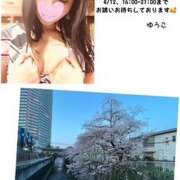 ヒメ日記 2025/04/11 22:12 投稿 下田ゆうこ 大阪人妻花壇