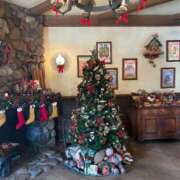 ヒメ日記 2024/12/23 07:16 投稿 うい チェックイン横浜女学園