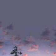 ヒメ日記 2025/02/17 12:31 投稿 リノ ラブコレクション