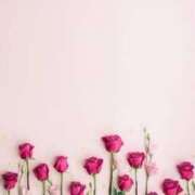 ヒメ日記 2025/06/23 06:31 投稿 リノ ラブコレクション