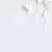 ヒメ日記 2025/07/24 22:31 投稿 リノ ラブコレクション