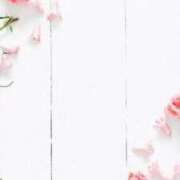 ヒメ日記 2025/07/30 21:16 投稿 リノ ラブコレクション