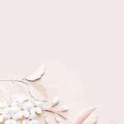 ヒメ日記 2025/08/21 00:46 投稿 リノ ラブコレクション