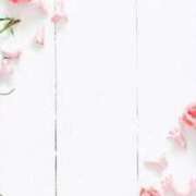 ヒメ日記 2025/08/31 01:46 投稿 リノ ラブコレクション