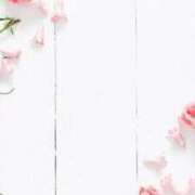 ヒメ日記 2026/02/16 06:31 投稿 リノ ラブコレクション