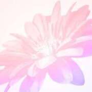 ヒメ日記 2026/02/23 06:31 投稿 リノ ラブコレクション