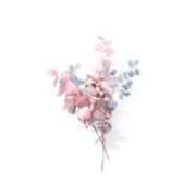 ヒメ日記 2026/02/25 06:16 投稿 リノ ラブコレクション