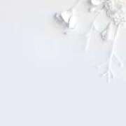 リノ ろぐいん?? ラブコレクション