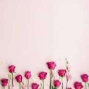 ヒメ日記 2026/02/27 08:16 投稿 リノ ラブコレクション