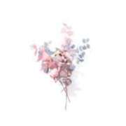 ヒメ日記 2026/03/02 12:01 投稿 リノ ラブコレクション