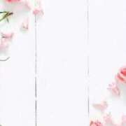 ヒメ日記 2026/03/06 02:01 投稿 リノ ラブコレクション