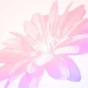 ヒメ日記 2026/03/13 08:01 投稿 リノ ラブコレクション