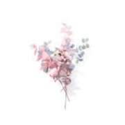 ヒメ日記 2026/03/17 15:16 投稿 リノ ラブコレクション