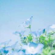 ヒメ日記 2026/03/24 06:31 投稿 リノ ラブコレクション