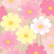 ヒメ日記 2026/03/29 06:31 投稿 リノ ラブコレクション