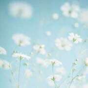 ヒメ日記 2026/03/30 11:01 投稿 リノ ラブコレクション