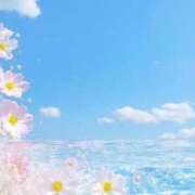 ヒメ日記 2026/03/31 18:01 投稿 リノ ラブコレクション