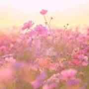 ヒメ日記 2026/04/03 07:01 投稿 リノ ラブコレクション