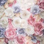 ヒメ日記 2026/04/04 07:46 投稿 リノ ラブコレクション