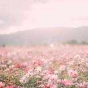 ヒメ日記 2026/04/06 08:16 投稿 リノ ラブコレクション