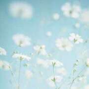 リノ ろぐいん?? ラブコレクション