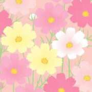 ヒメ日記 2026/04/13 06:31 投稿 リノ ラブコレクション